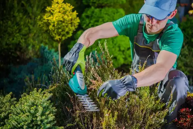 landscaping services Fenton